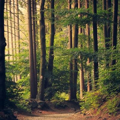 B体育手机版在线