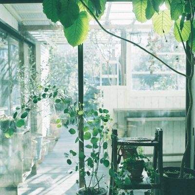 九万彩票安卓软件手机app下载