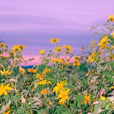 722cc彩票手机app下载