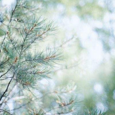 开元im电竞官网