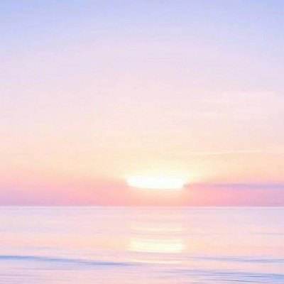 英雄联盟押注app